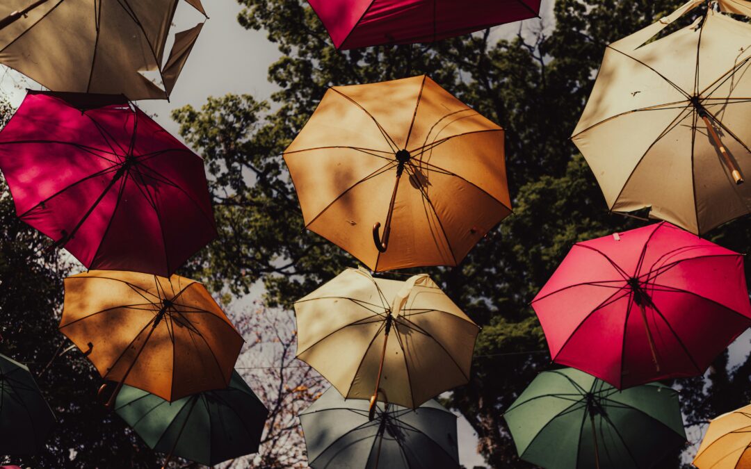 Wie unser „Boykotteur“ uns schützen will