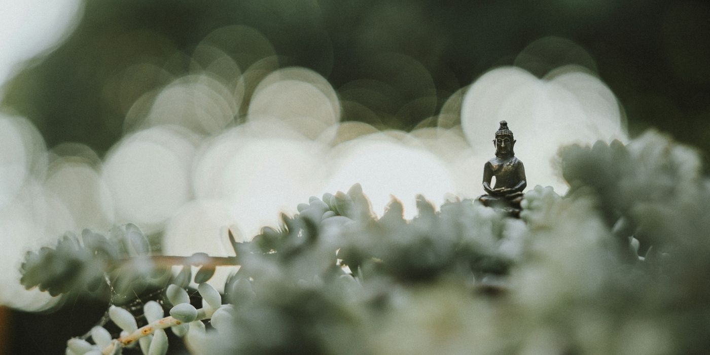 Warum wir uns oft so schwer tun, eine Familienaufstellung zu machen. Blogartikel über das Familienstellen nach Bert Hellinger