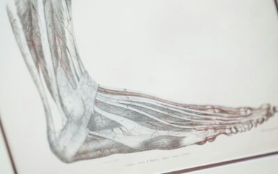 „Du hast nicht auf mich geachtet“, antwortete der Fuß