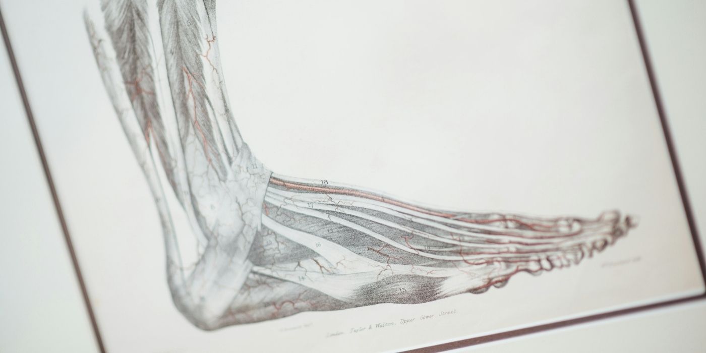 Warum wir uns oft so schwer tun, eine Familienaufstellung zu machen. Blogartikel über das Familienstellen nach Bert Hellinger