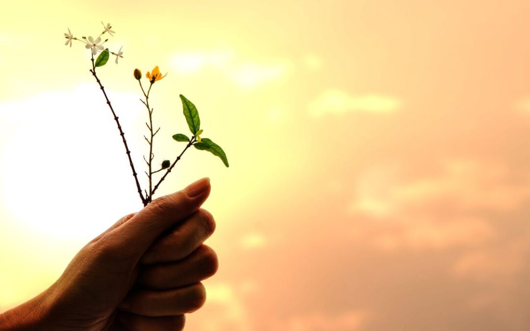 Glück oder Dankbarkeit – was war zuerst?