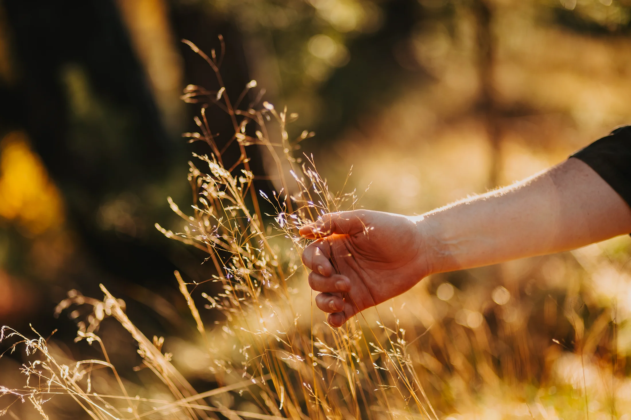 Einzelbegleitung Spirituelles Erwachen