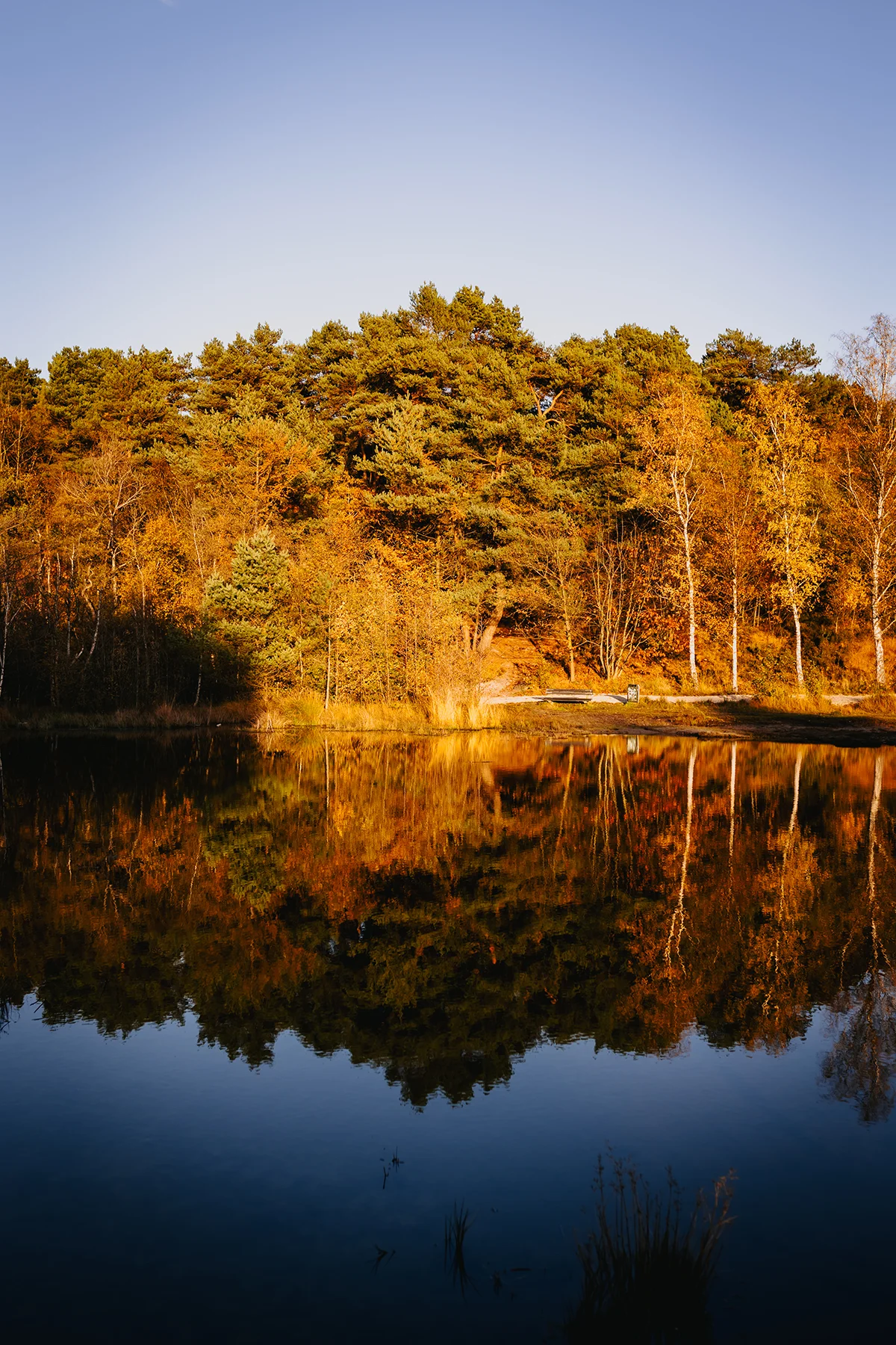 Heimkommen Jahresgruppe Köln