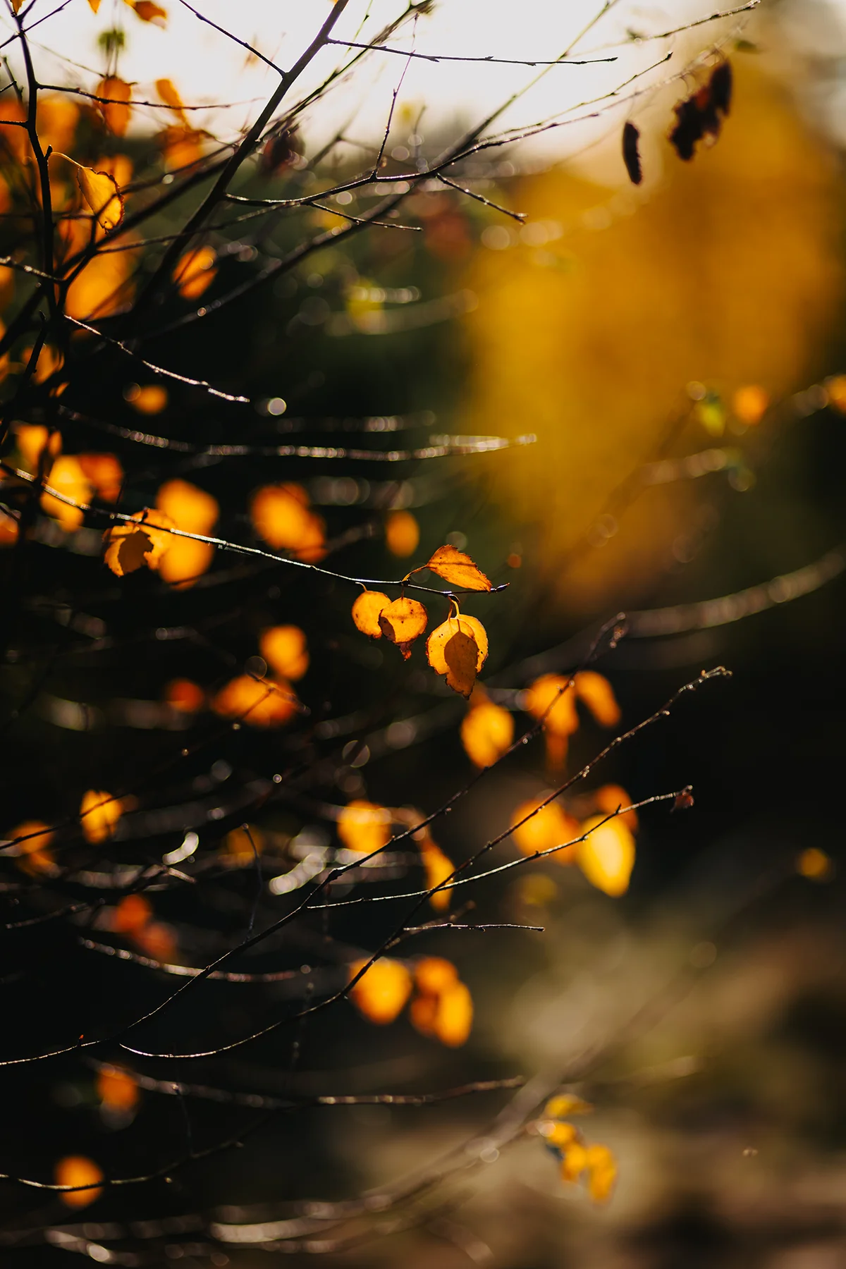 Bewusstheitsgruppe Köln